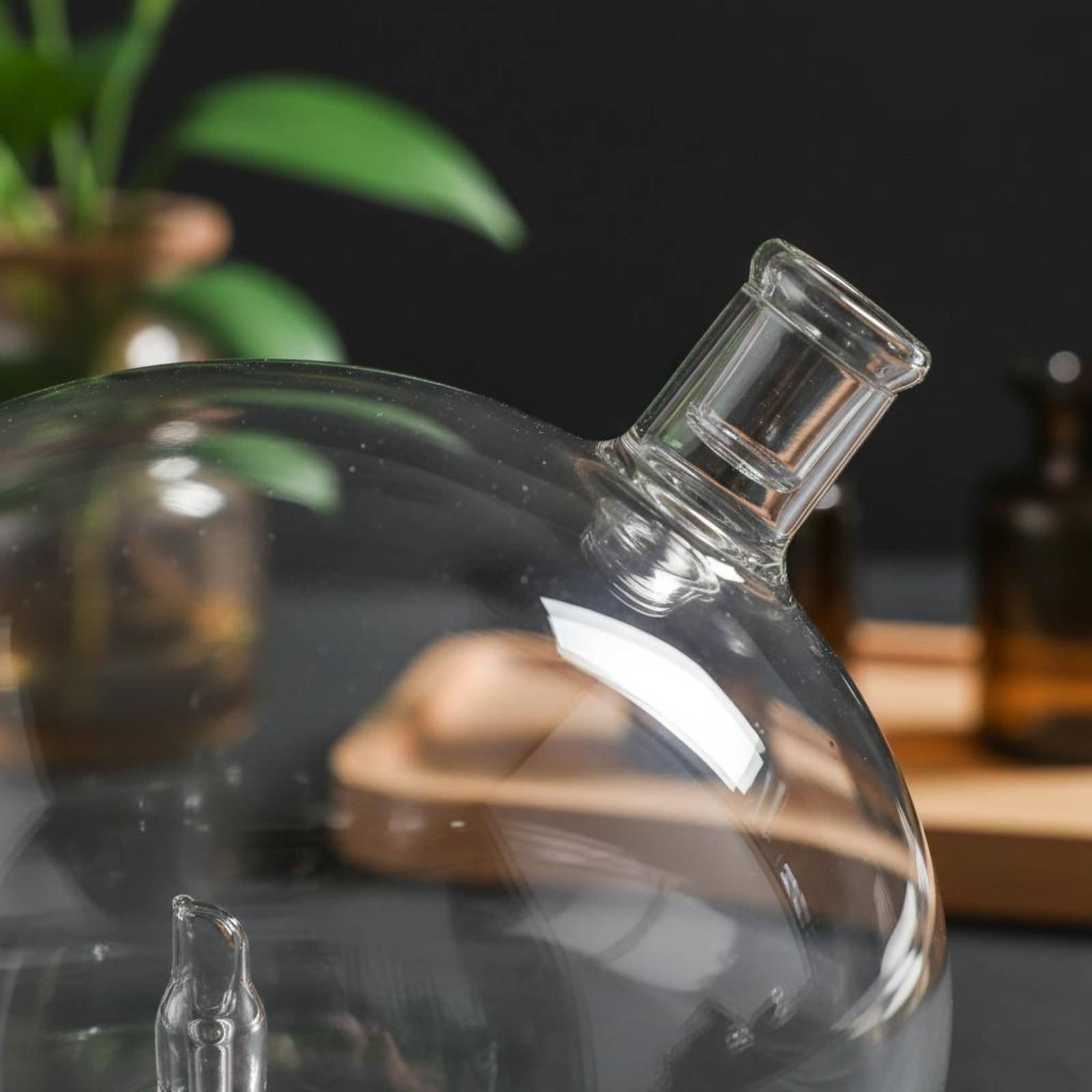 زجاجة ناشر عطر زجاجية بديلة عا - مراجعة Home Fragrance Usa وسعره